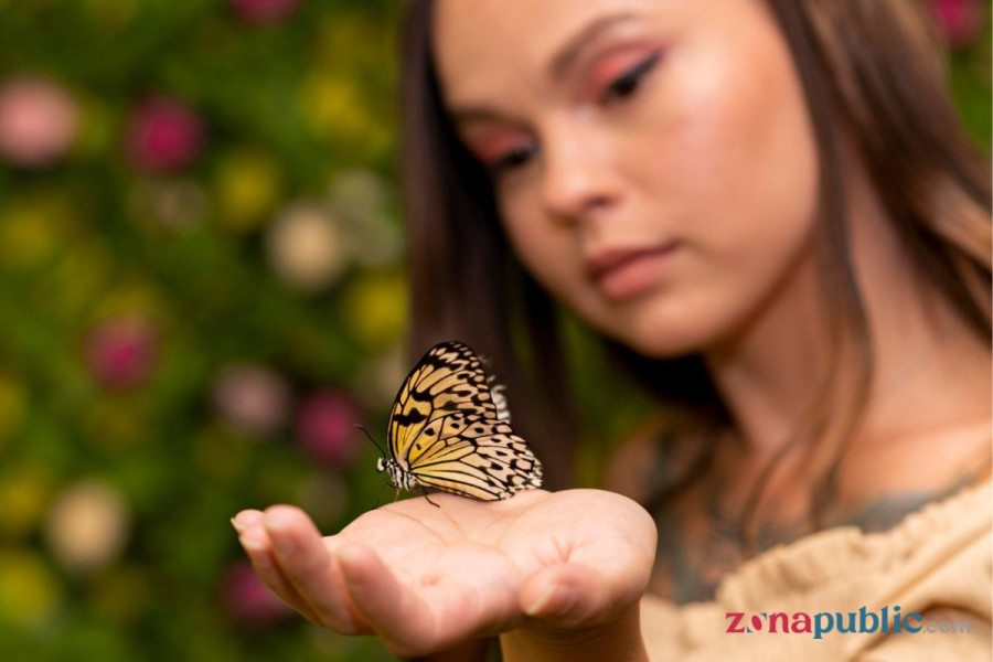 Butterfly Era Artinya Apa? Menyelami Makna dan Fenomena di Kalangan Gen Z
