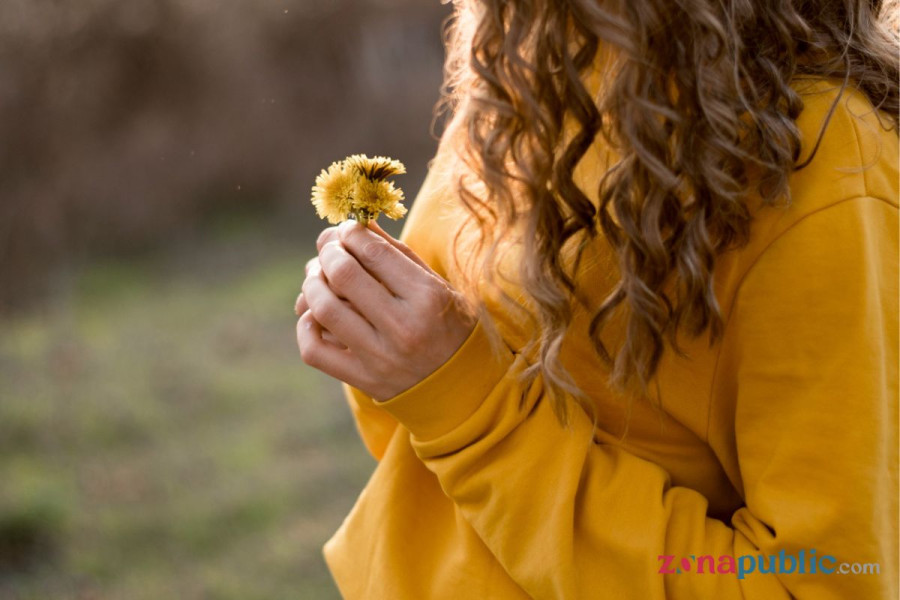 Dandelions Makna: Simbol Harapan atau Cinta Tak Terjangkau?