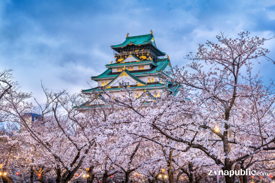 Yuk Simak, 5 Destinasi Wisata Jepang Musim Semi yang Harus Dikunjungi